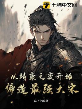 从靖康之变开始,缔造最强大宋全文免费阅读